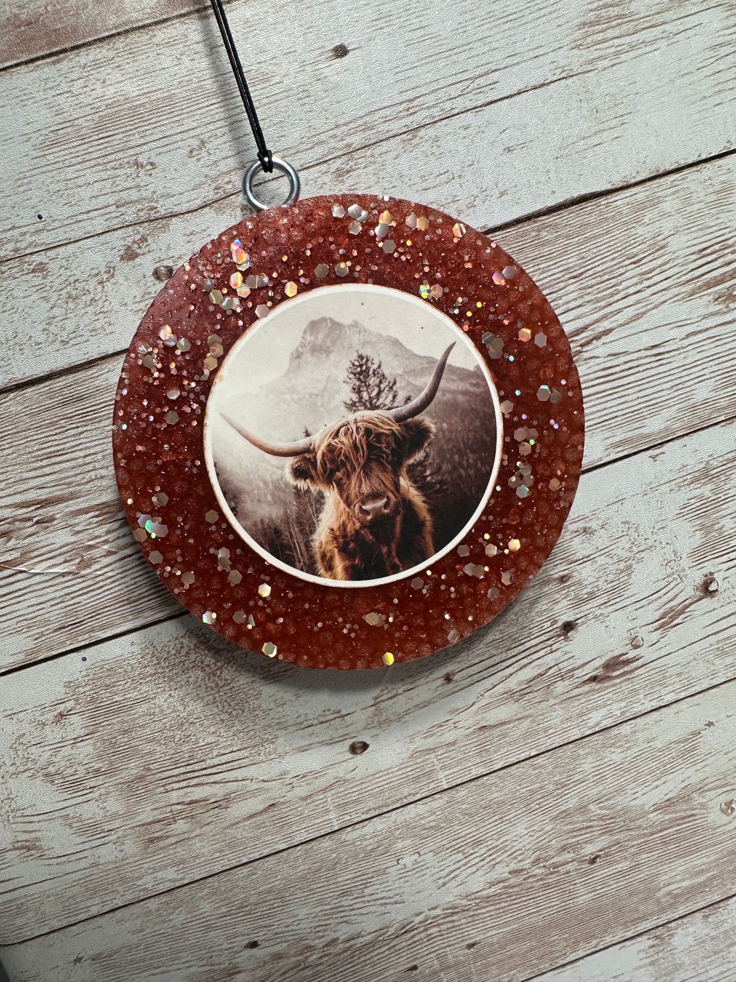 HIGHLAND COW - CHAMPAGNE TOAST