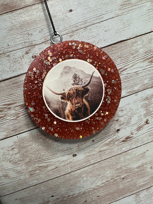 HIGHLAND COW - CHAMPAGNE TOAST